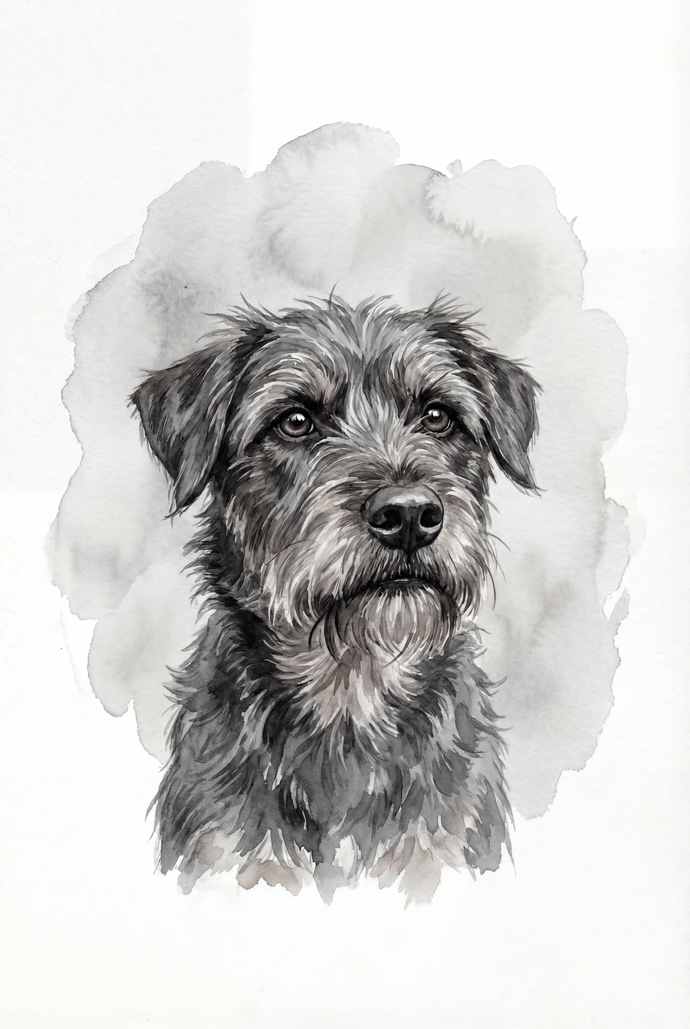 Pet portrait 4